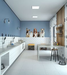 a kitchen with four dogs on the wall