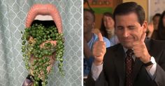 a man giving the thumbs up sign next to an image of a woman's tongue with peas growing out of it