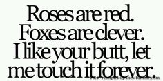 the words roses are red, foxes are clever, i like you but let me touch it