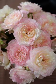 a bouquet of pink and white flowers in a vase