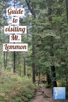 a sign that says guide to visiting mt lemon