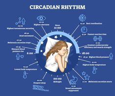 Take a look at 5 disrupted circadian rhythm symptoms that indicate it may be out of sync and provide practical solutions to restore harmony to your body clock! High Testosterone, Body Clock, Ceramics Ideas, Circadian Rhythm, Healthy Sleep, Lower Blood Pressure, Deep Sleep, Blood Pressure, Psychology