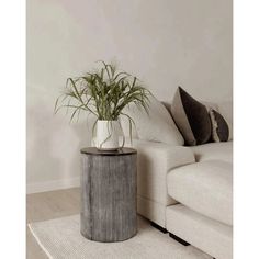 a living room with a white couch and a plant in a vase on the coffee table