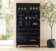 a tall black cabinet with glass doors next to a potted plant and vase on the floor