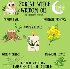 Thursday Magick, Witchy Oils, Witchy Ingredients, Forest Witch Aesthetic, Candle Magick Spells, Green Witchery, Witch Types, Witches Alphabet, Witchcraft 101