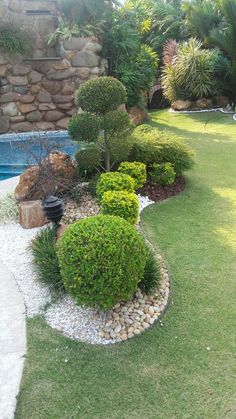 a garden with rocks and plants next to a swimming pool