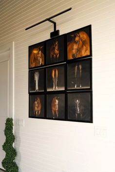 four horses mounted to the side of a white wall in front of a planter