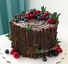 a chocolate cake with berries and raspberries on top