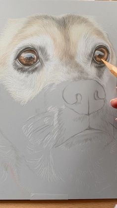 a person is drawing a dog's face with colored pencils