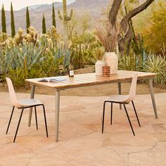 a table with two chairs and a vase on it in front of some cacti