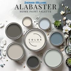 several paint cans with white flowers in them and the words, abaaster home paint palette