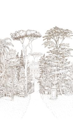 an ink drawing of a garden with trees and bushes on either side of the path