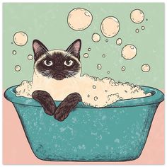 a black and white cat sitting in a blue bath tub filled with foamy bubbles