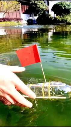 a hand holding a red flag over a bottle floating in the water