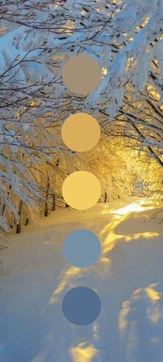 the sun is shining through some trees in the snowy woods with circles hanging from it's branches