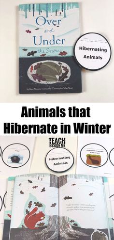 an open book with the title animals that hibernate in winter