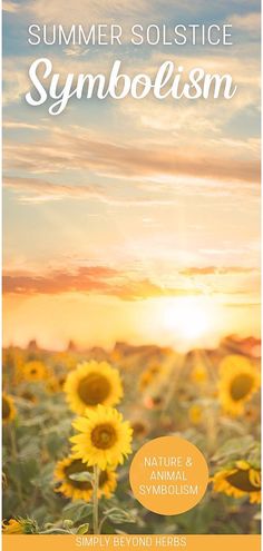 sunflowers with the words, summer solstice symbol in front of them