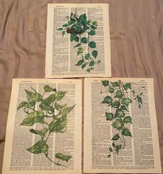 three green leaves are on top of an old book page, which is laying on a bed