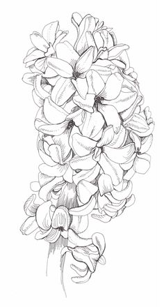 a black and white drawing of flowers