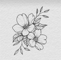 a black and white drawing of flowers with leaves on the bottom half of their petals