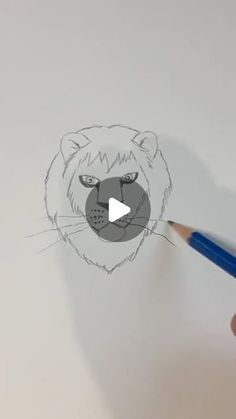 someone is drawing a lion's face with pencils