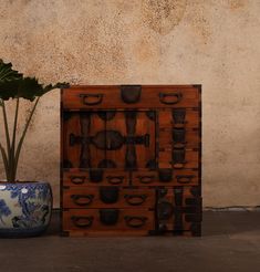 a potted plant sitting next to a wooden cabinet with drawers and handles on it