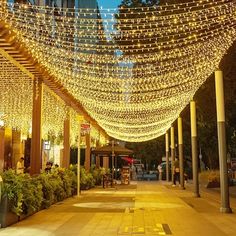 the lights are hanging from the ceiling in the city street, and there is no image here to provide a caption for