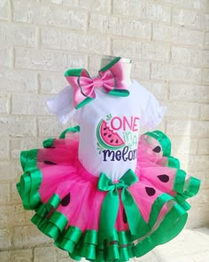 First Birthday Watermelon Theme, One In A Melon Birthday, Mickey First Birthday, Pink Watermelon