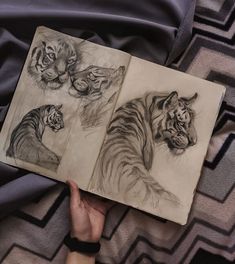 a hand holding an open book with two drawings of tigers on it and another drawing of a tiger