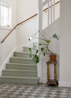 there is a potted plant on the stairs