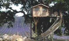 a tree house sitting on top of a hill next to a lush green field filled with purple flowers