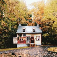 a small white house surrounded by trees with leaves on the ground and fallen leaves all around it