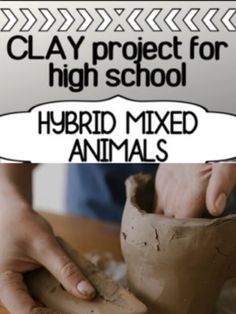 clay project for high school hybrid mixed animals with text that reads clay project for high school hybrid mixed animals