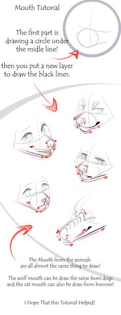 how to draw the nose and eyes in perspective with this step - by - step guide