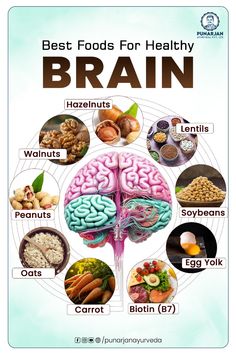 Fuel your mind with the best foods for a healthy brain! Discover the top nutrients and foods to boost memory, cognitive function, and mental clarity.  #BrainHealth #FoodForThought #HealthyEating Nutrition Creative Ads, Brain Health Foods, Food Is Medicine, Brain Foods, Food For Brain, Memory Foods Brain Health, Food For Your Brain, Best Foods For The Brain, Food For The Brain Healthy