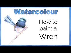 a blue bird sitting on top of a branch with the words watercolor how to paint a wren