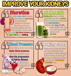 Kidney Cleanse Remedies, Kidney Tea, Foods For Kidney Health, High Alkaline Diet, Kidney Healing, Kidney Cleanse Natural, Food For Kidney, Kidney Healthy Foods, Cleansing Tea