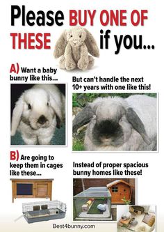 an advertisement for rabbits in their cages with instructions on how to put them in the cage