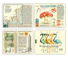 four different types of cards with pictures of birds and mushrooms on them, all in various colors