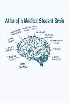 the atlas of a medical student brain