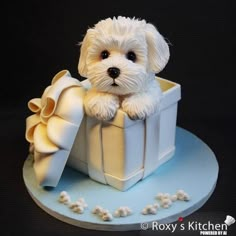 a small white dog sitting in a gift box cake