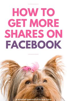 a small dog with its tongue out and the words how to get more shares on facebook