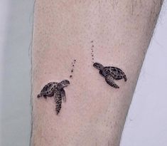 two small turtles on the arm