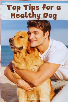 a man holding a dog on the beach with text top tips for a healthy dog