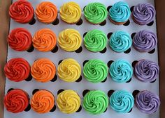 cupcakes with different colored frosting are arranged in a row on a tray