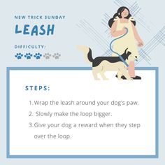 a poster with instructions on how to wash your dog's legs and leashes