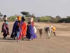 three women walking down a dirt road carrying baskets on their heads and two donkeys behind them