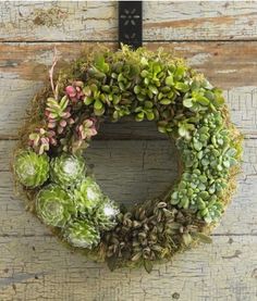 a wreath with succulents hanging on a wooden wall