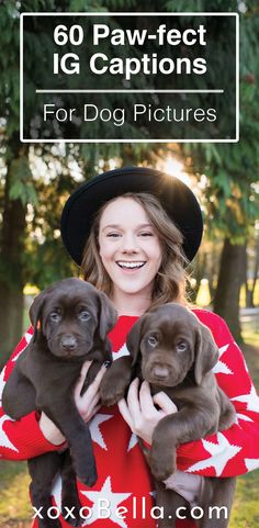 a woman holding three puppies in her arms with the caption saying, 60 paw - fect ig captions for dog pictures