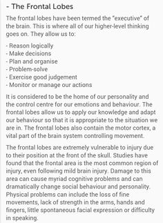 Frontal lobe Frontal Lobe Damage, Frontal Lobe Function, Scattered Mind, Cognitive Psychology, Higher Level Thinking, Planning And Organizing, Chronic Illness, Black Belt